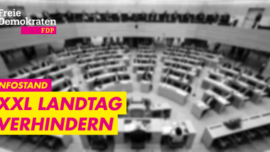 Illustration des Landtags Baden Württemberg